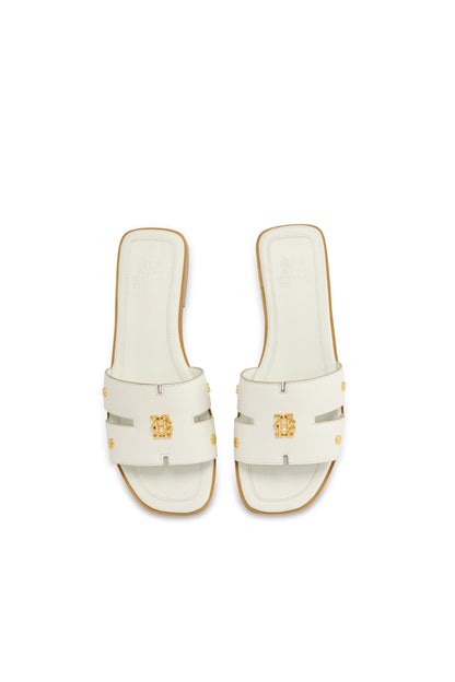 Heraldic Monogram Slides