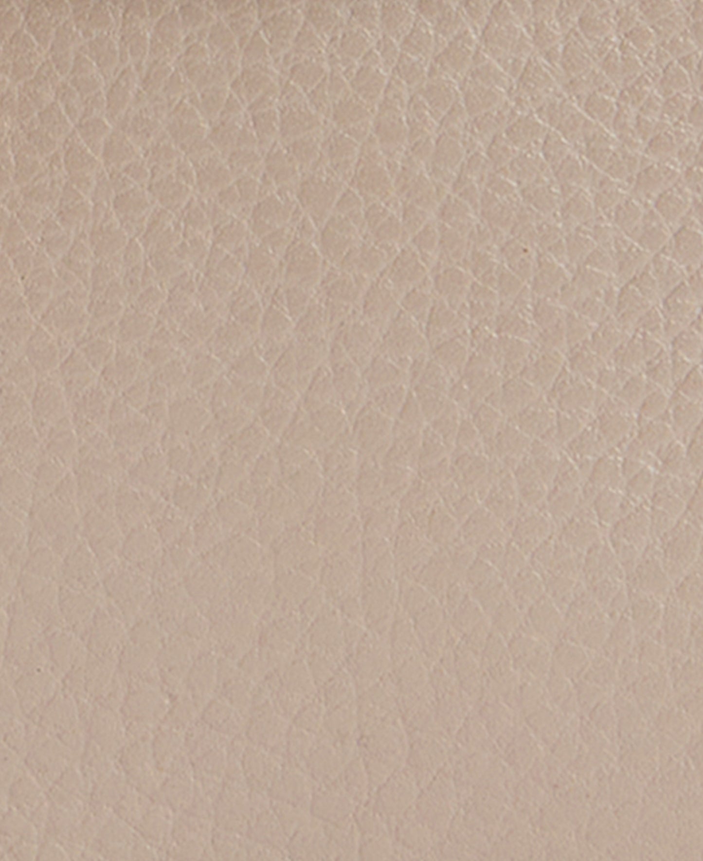 Mini Rosa Leather Crossbody Bag - Pebbled Pink/Brown