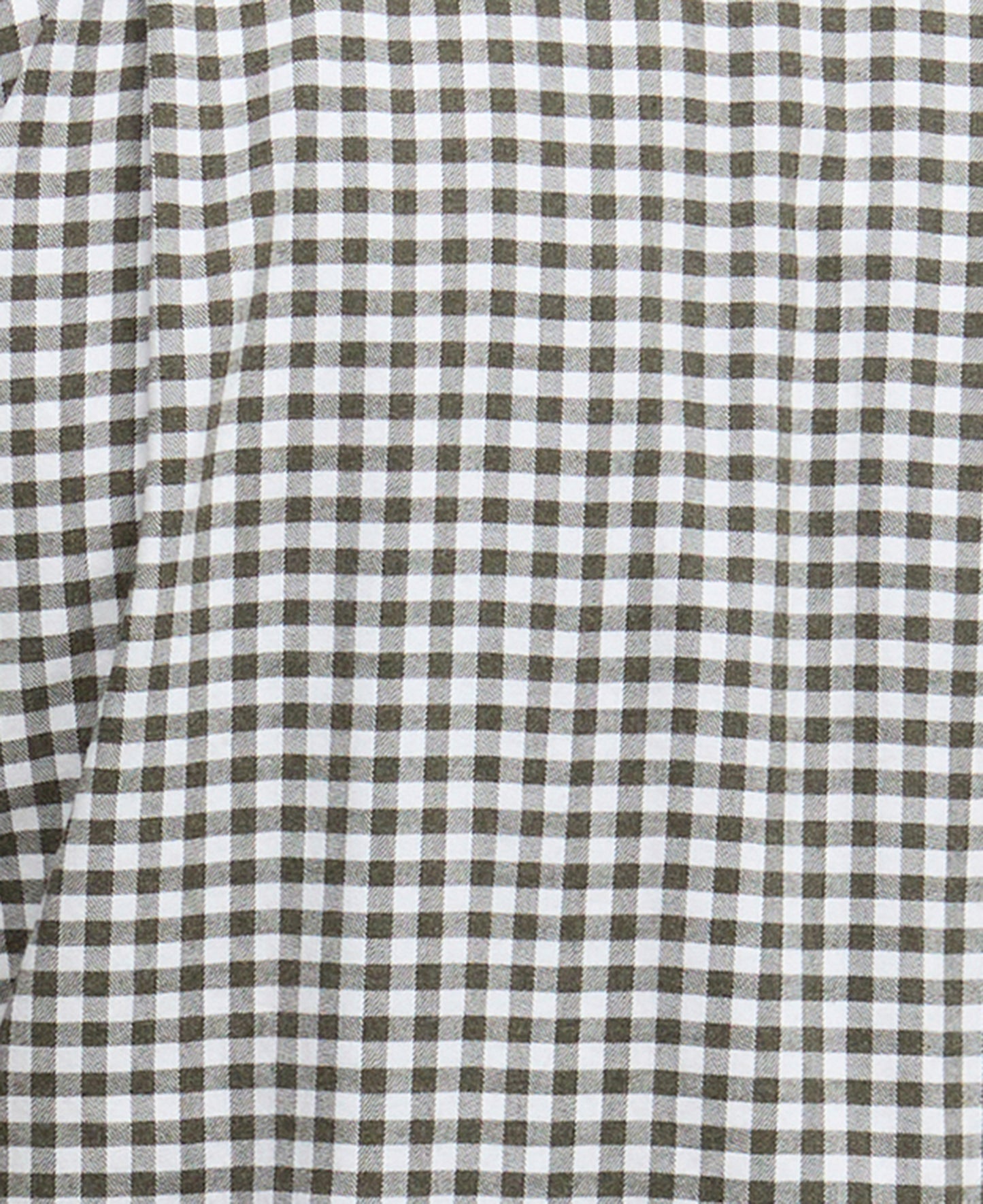 Gingham Aukside Regular Shirt
