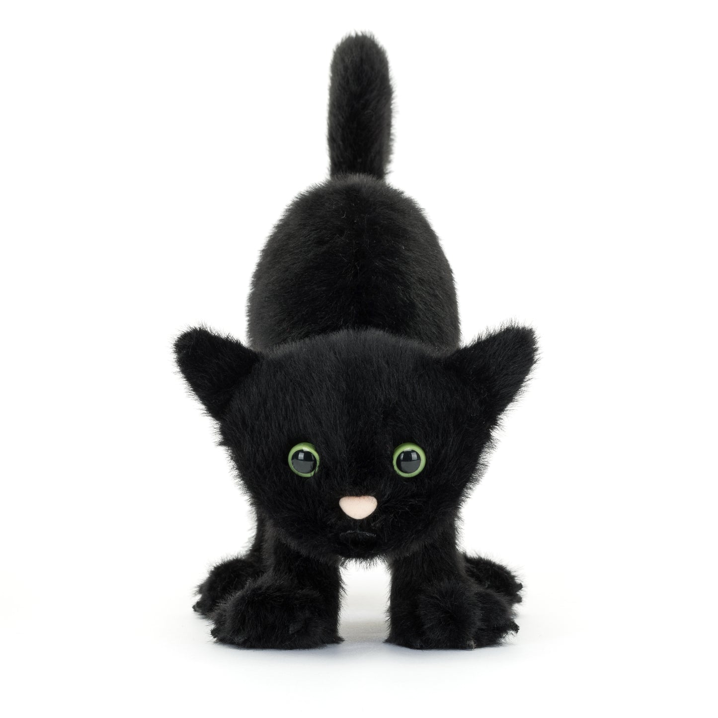 Spookipaws Cat