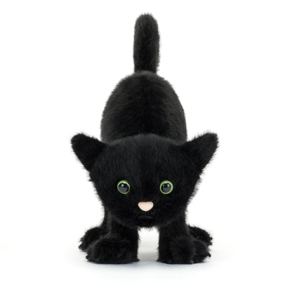 Spookipaws Cat