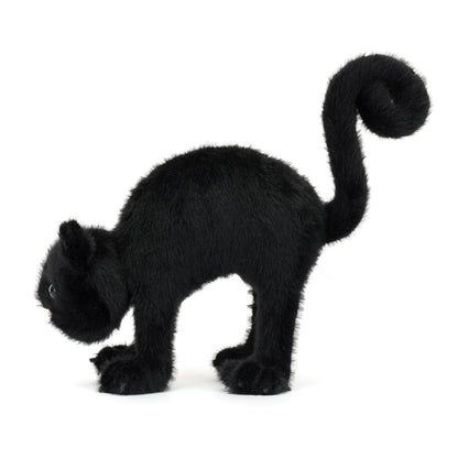 Spookipaws Cat