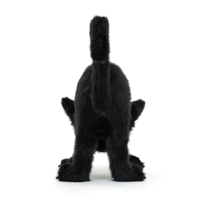 Spookipaws Cat