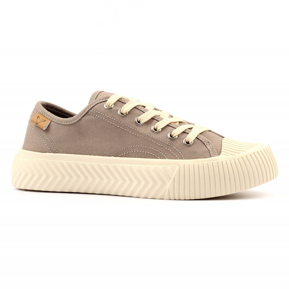 Jayne III Trainer