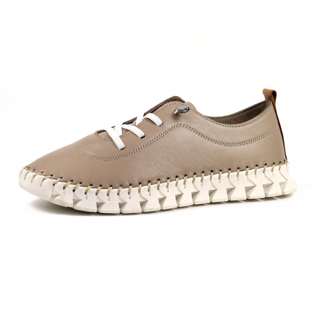 Lunar St Austell Taupe Leather Plimsoll