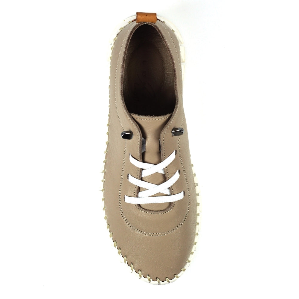 Lunar St Austell Taupe Leather Plimsoll