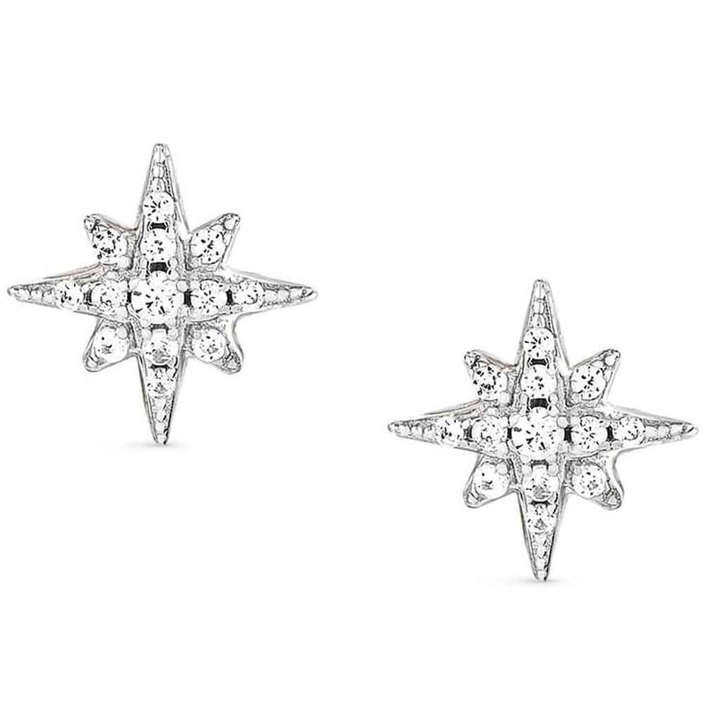 Sweetrock Romance Silver Wind Rose Earrings
