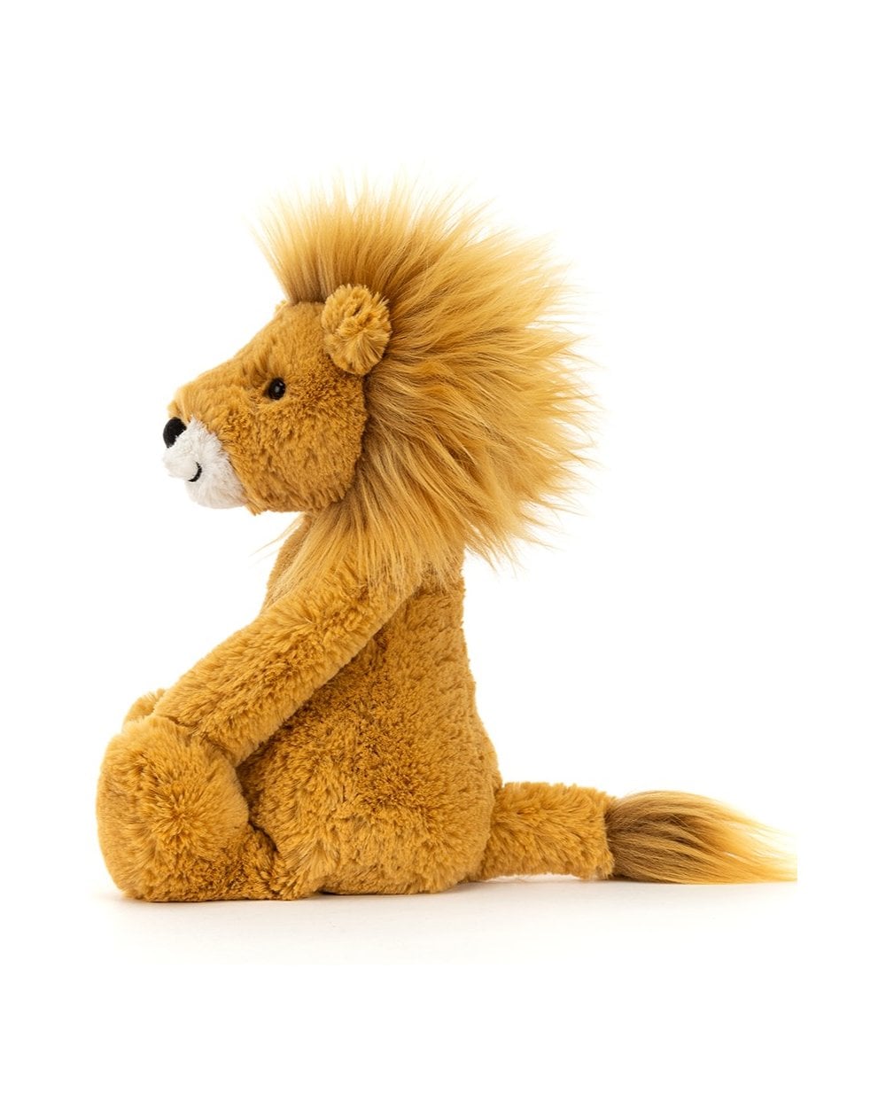 Bashful Lion - Medium
