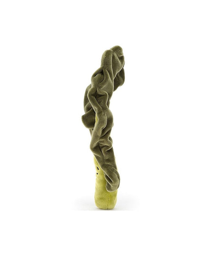 Vivacious Vegetable Kale Leaf