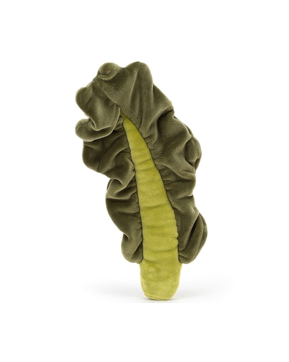 Vivacious Vegetable Kale Leaf