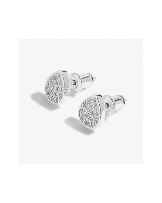 Beautifully Boxed A Little 'Amazing Auntie' Earrings