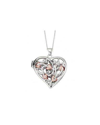 Fairy Locket