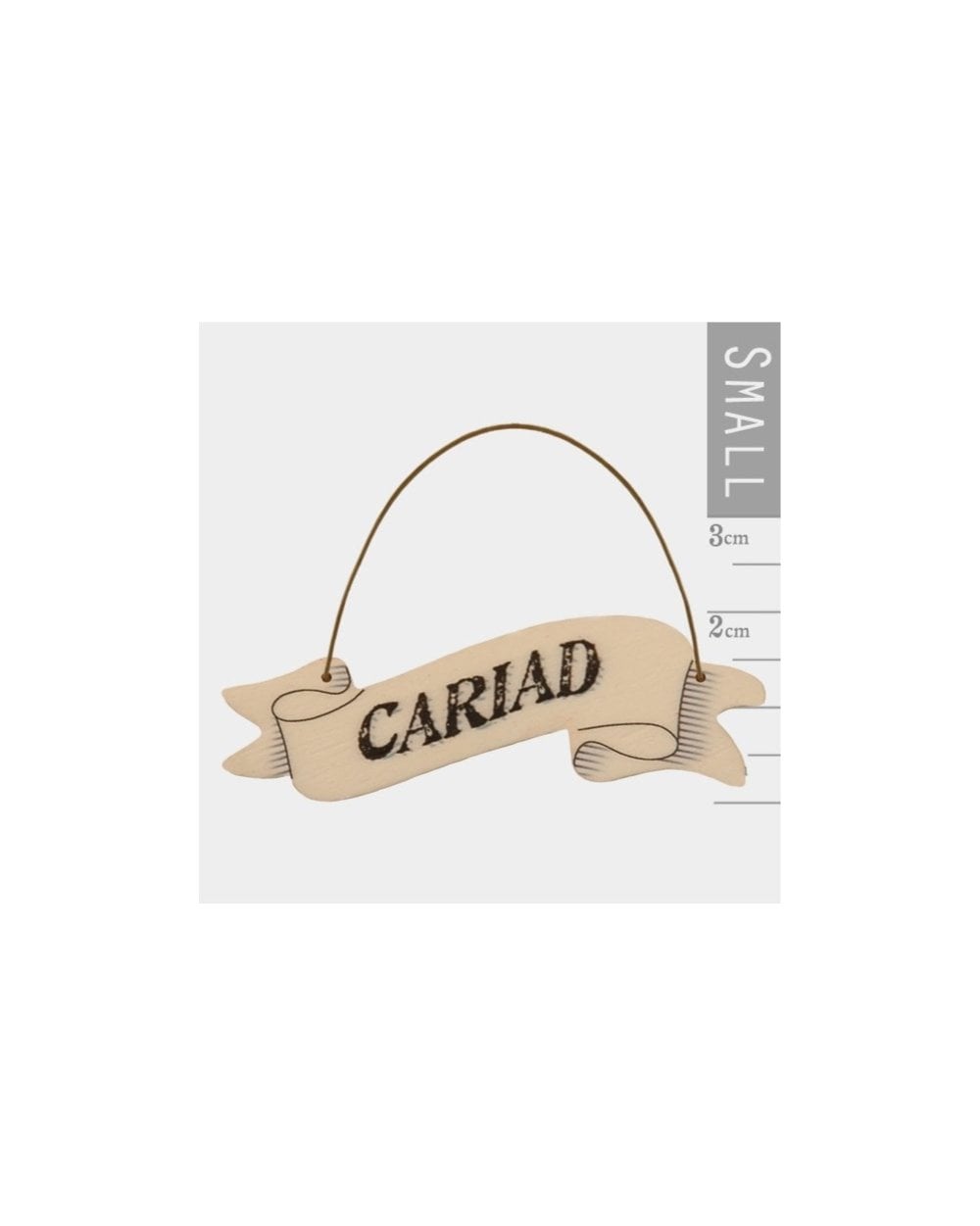 Small Ribbon Words - Cariad