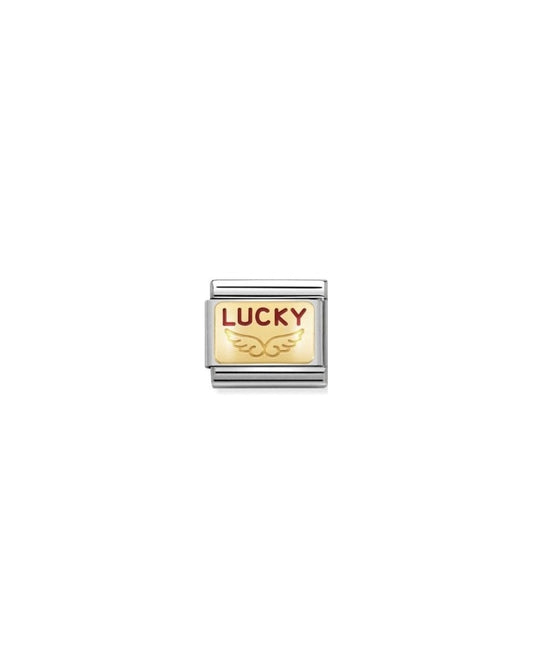 Composable Classic Plates Steel , Enamel And 18K Gold (39_Angel Of Good Luck)