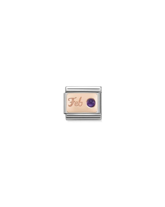 Composable Classic Stone Of Month In S, Steel And Gold 375 (02_February Amethyst)