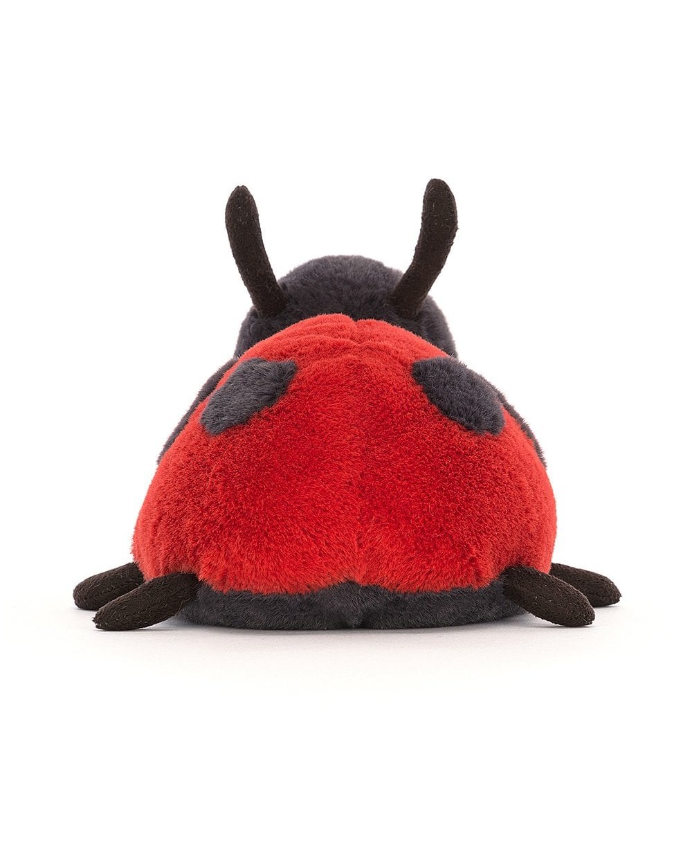 Layla Ladybird