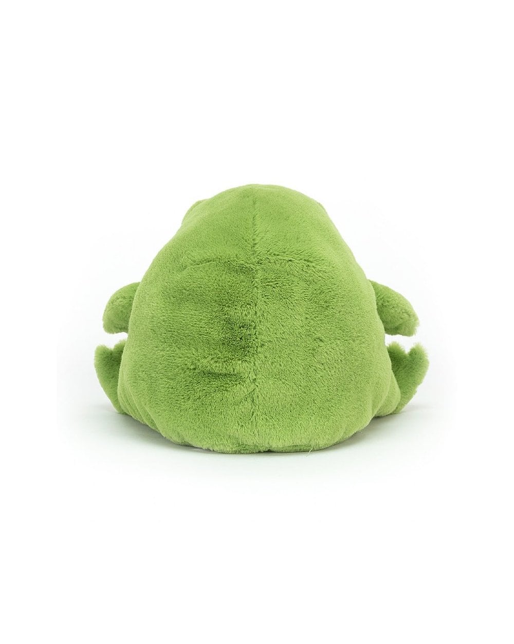 Ricky Rain Frog