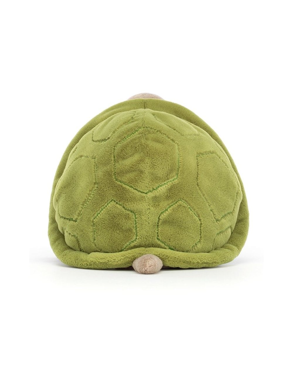 Timmy Turtle