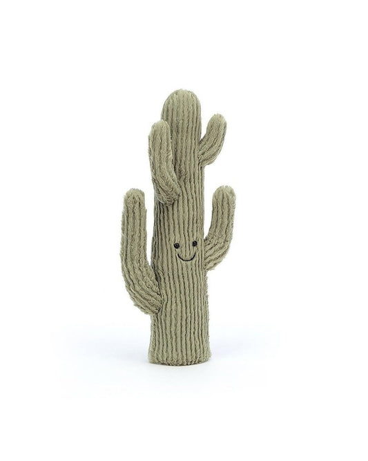 Amuseable Desert Cactus