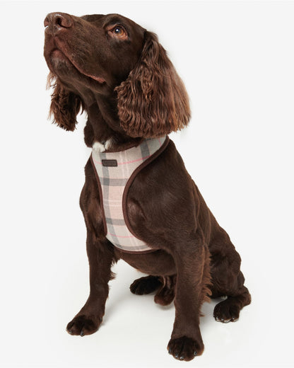 Barbour Tartan Dog Harness