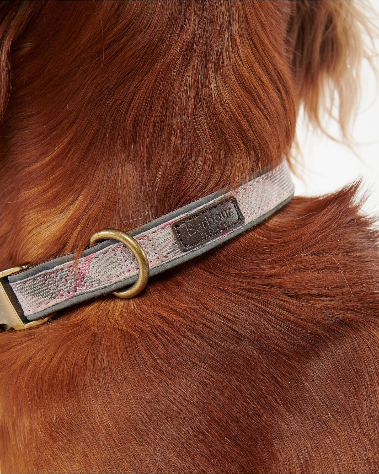 Barbour Reflective Tartan Dog Collar